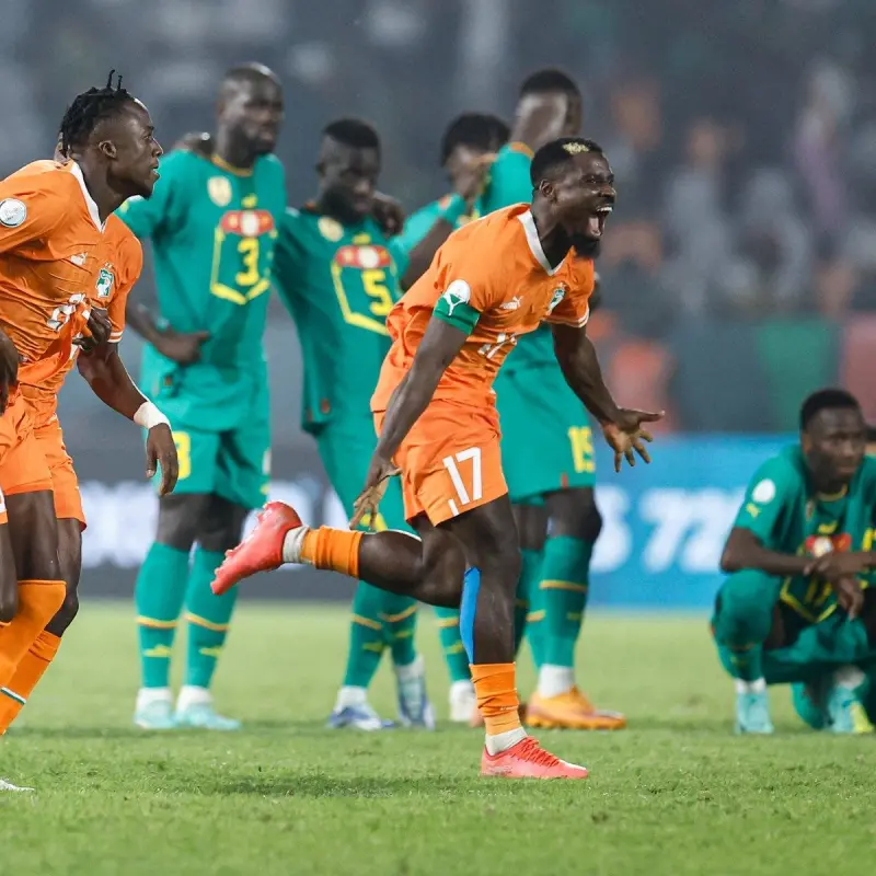 科特迪瓦队以不败战绩摘得非洲杯冠军 科特迪瓦队以不败战绩摘得非洲杯冠军