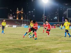 足球比赛中定海真金豚舞澄澈